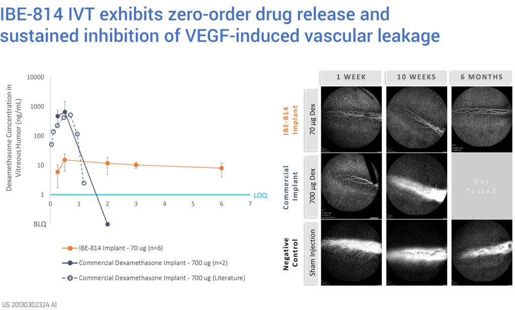 Ripple Therapeutics