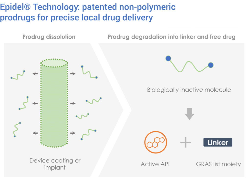 Ripple Therapeutics