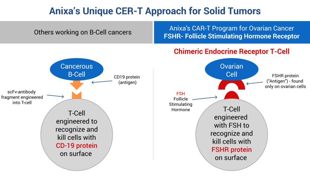 Anixa Biosciences Harnessing Interactions Between Tumors And The Immune ...