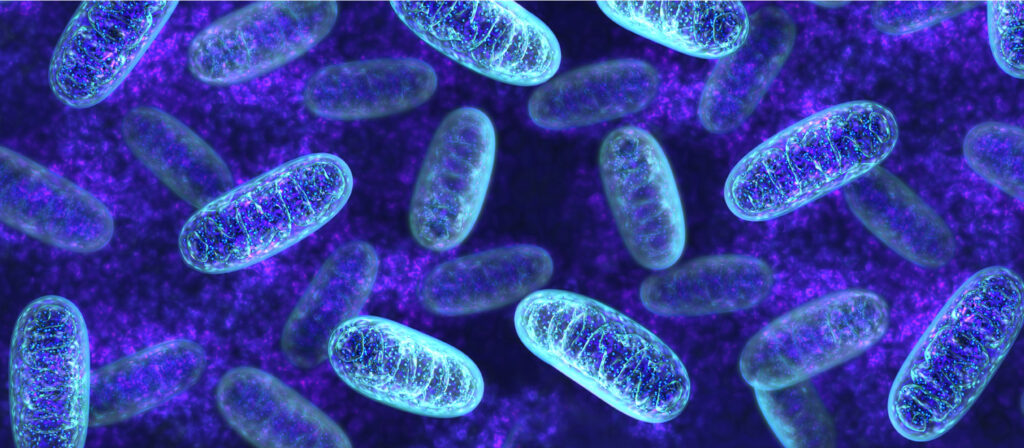 CohBar developing therapeutics from mitochondrial DNA - BioTuesdays