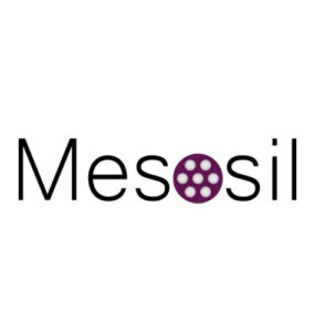 Mesosil Logo