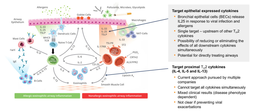 Blocking Upstream Epithelial Cytokines