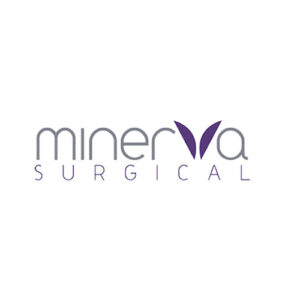Minerva Surgical