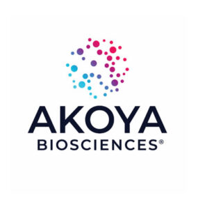 Akoya Logo