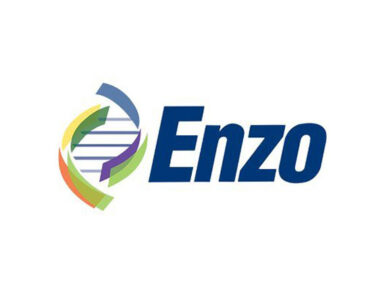 Enzo Logo