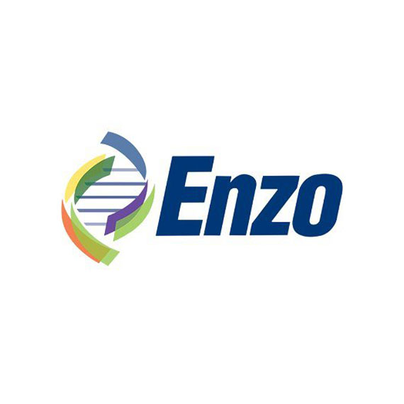 Enzo Logo