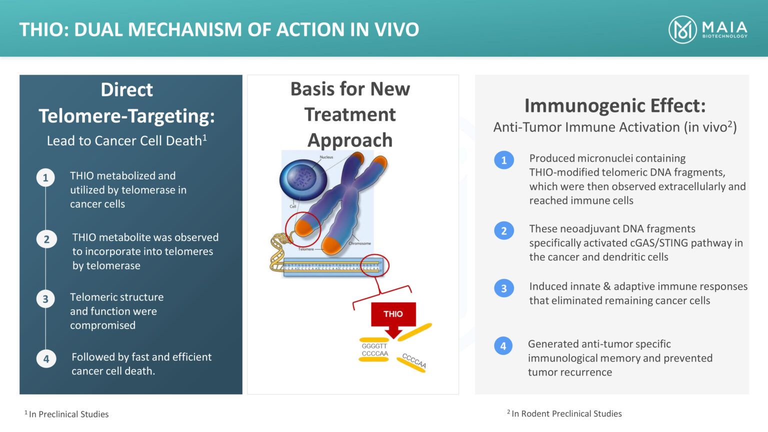 MAIA telomere-targeting technology aiming at therapy-resistant tumors ...