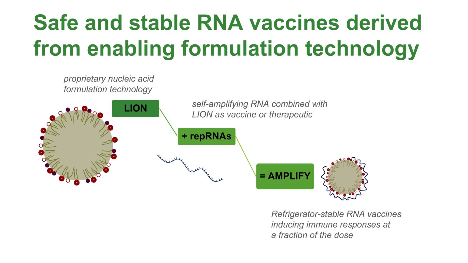 Hdt Bio Focused On Global Impact Of Mrna Vaccine Platform - Biotuesdays